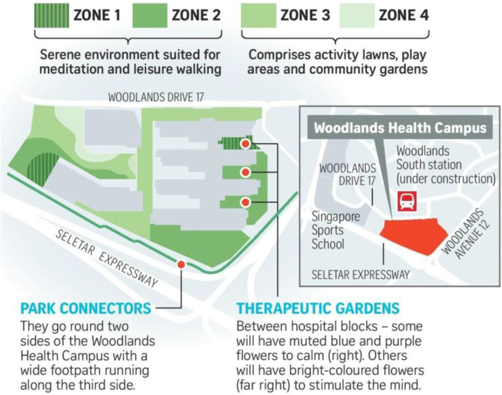 Healing Forest Garden plan showing four therapeutic zones, park connectors and therapeutic gardens across the Woodlands Health Campus