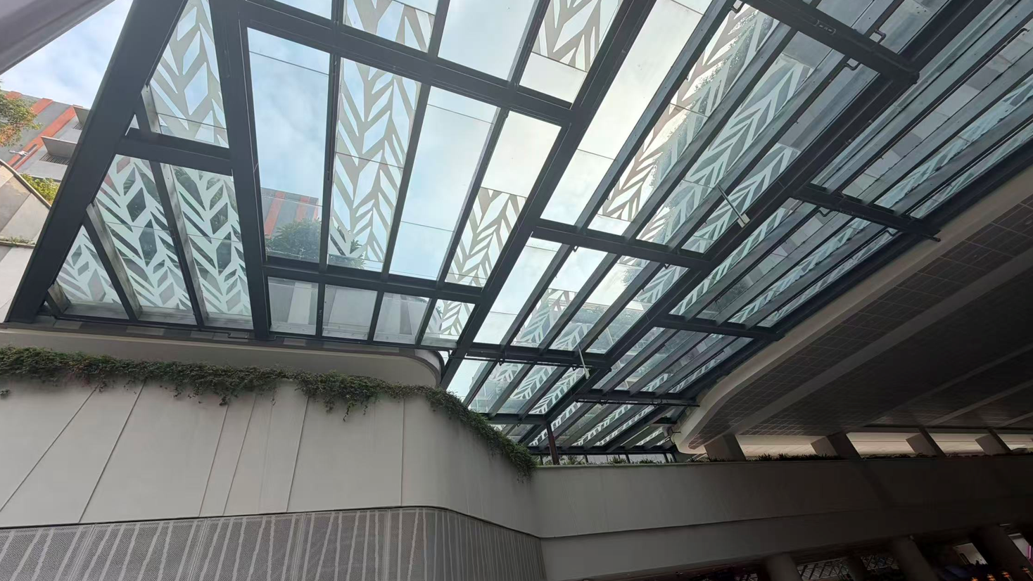 Patterned glazed canopy seen from below, with planting spilling over the edge of the deck