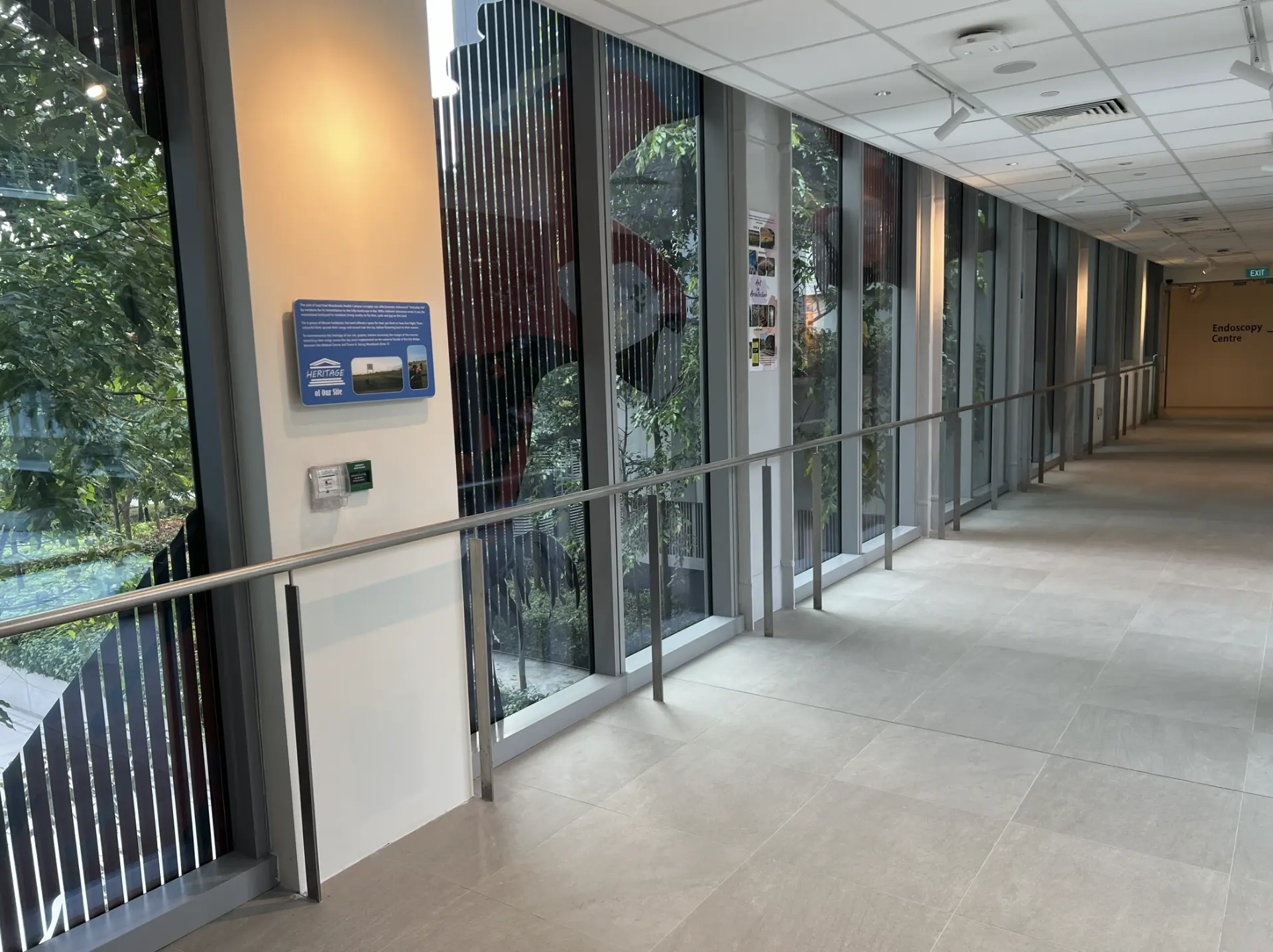Corridor lined with full-height windows overlooking planted courtyards and the Endoscopy Centre