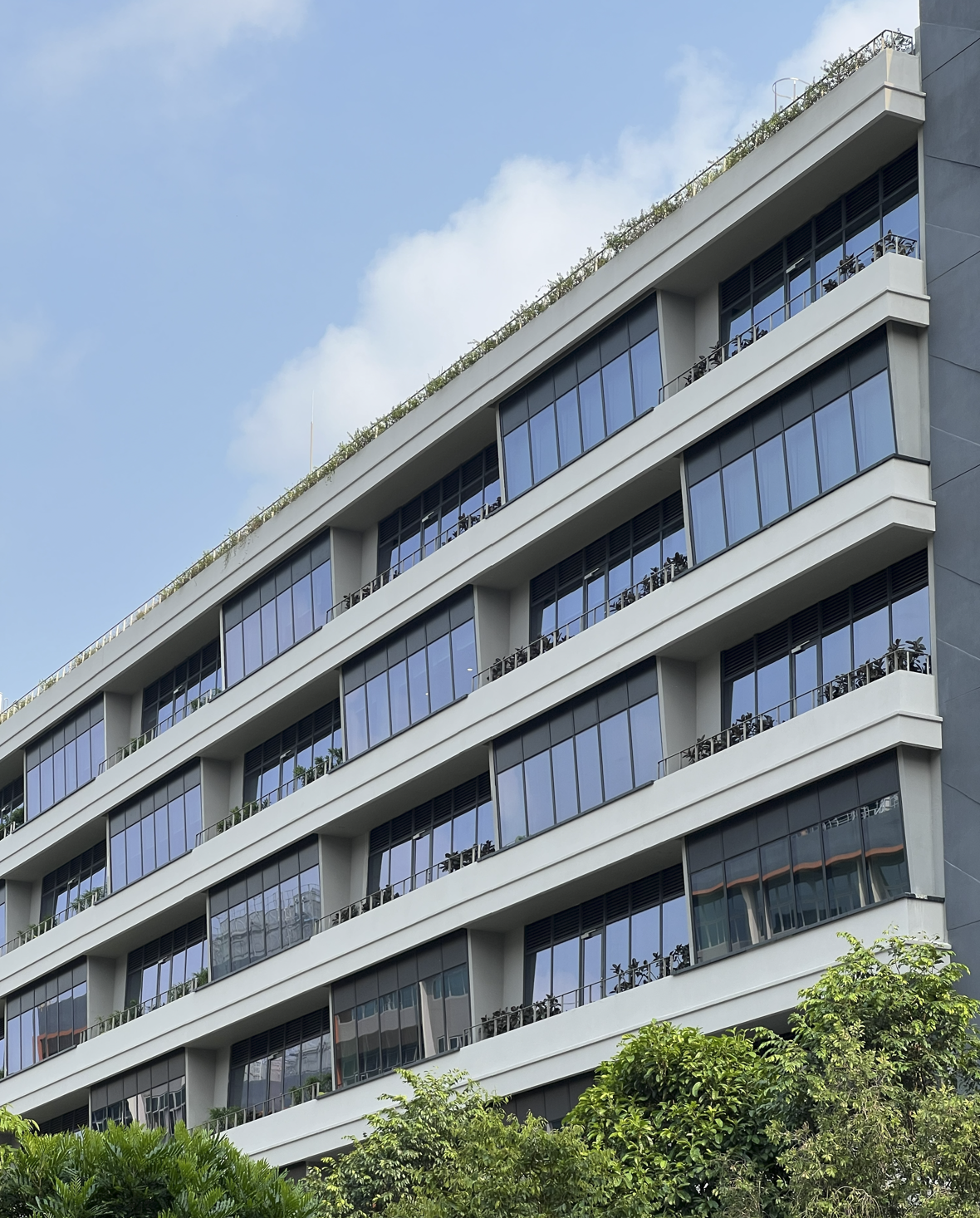 Woodlands Hospital facade with greenery and sky