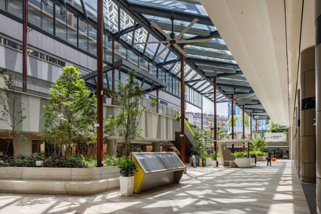 Main Drop-Off area at Woodlands Hospital showing the covered arrival zone with biophilic columns and glazed canopy