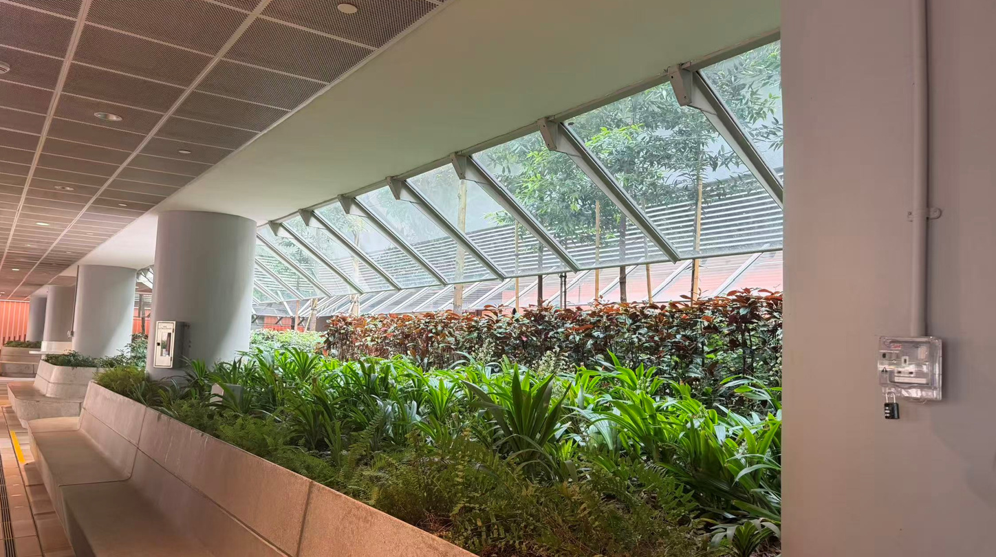 Indoor garden with planting beds below a glazed roof, bringing daylight and greenery into the building