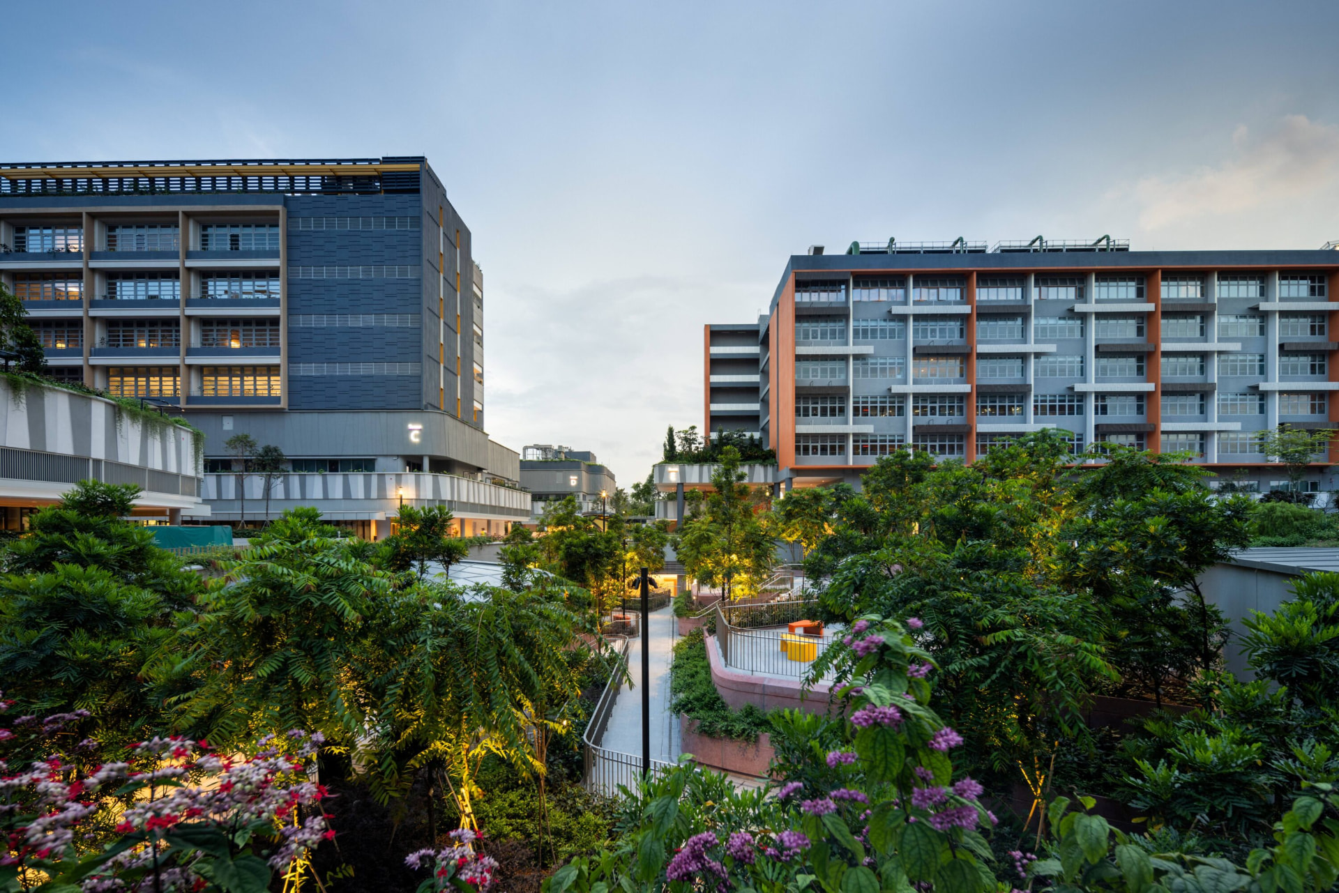 Woodlands Hospital project photo 3