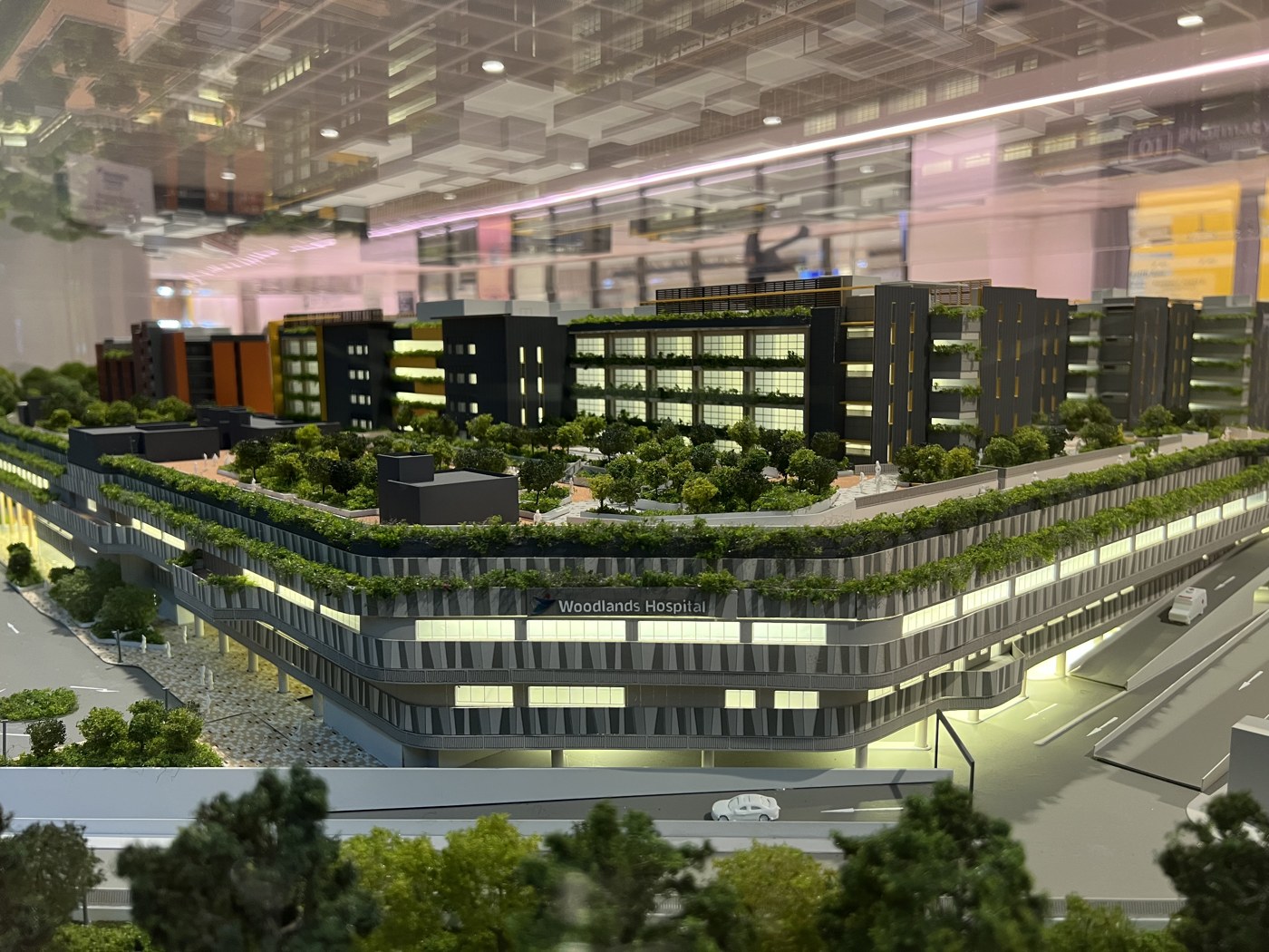 Campus model viewed from the expressway side, showing a perimeter block with a deep planted façade facing the road and the ward towers set back behind an elevated garden deck