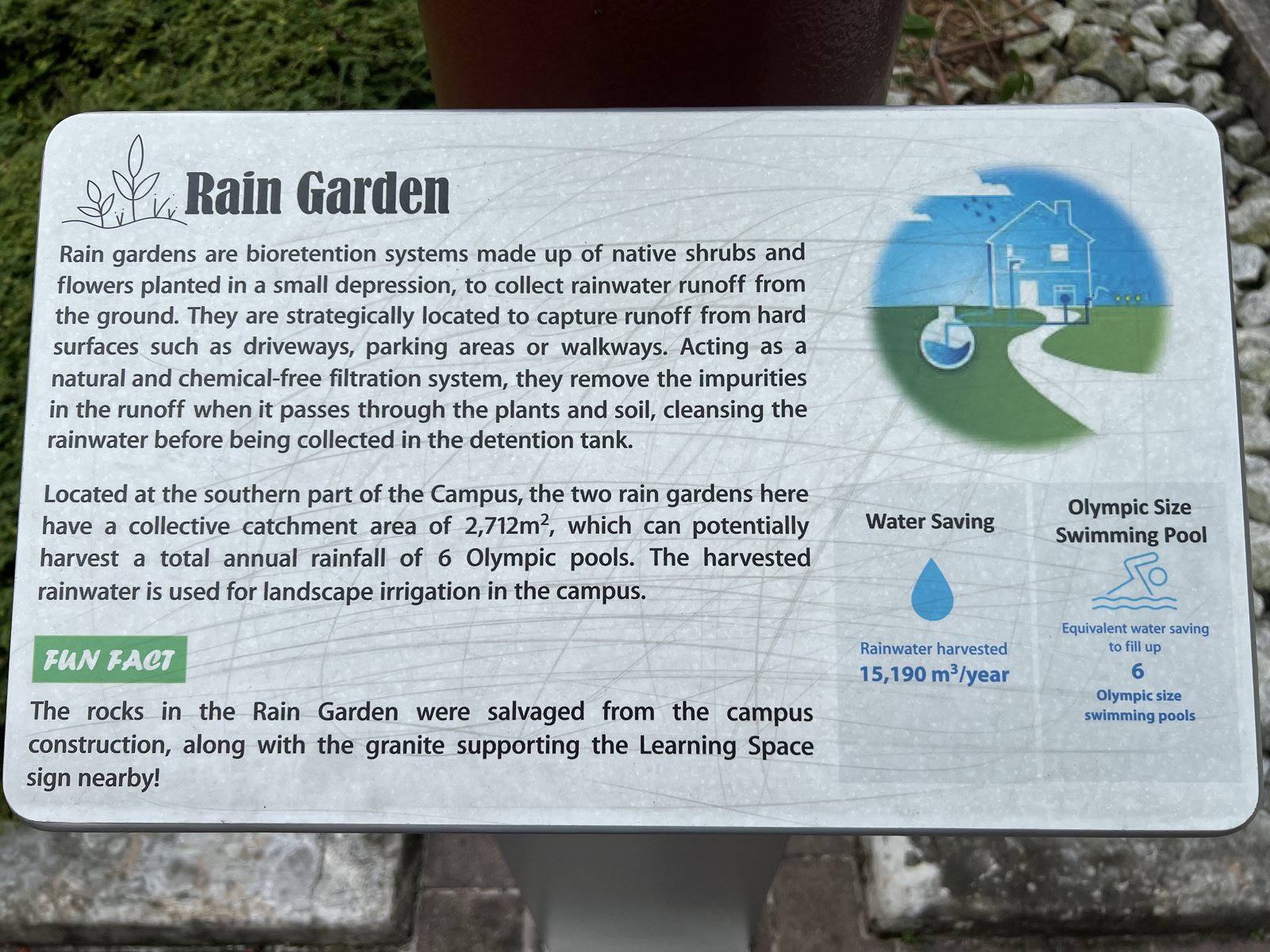An interpretive sign titled Rain Garden beside a planted bank, explaining bioretention and giving a catchment area and an annual rainwater harvest figure.